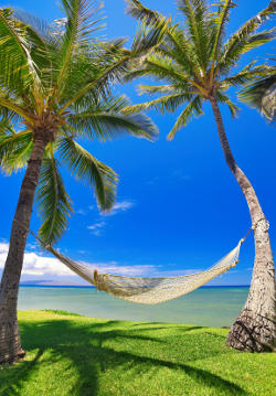 hammock